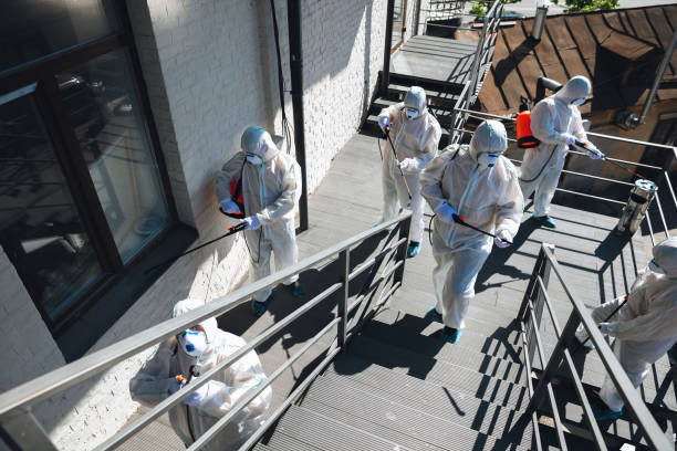 Best Residential Mold Inspection & Testing  in Star Valley Ranch, WY