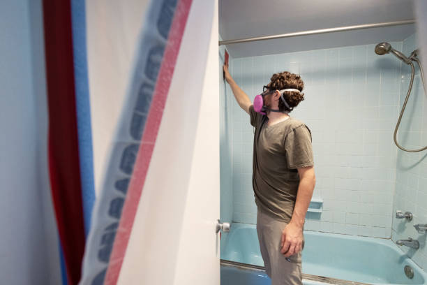 Professional Mold Removal in Star Valley Ranch, WY