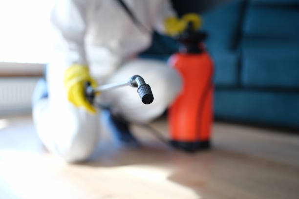 Best Comprehensive Air Testing for Mold Contaminants  in Star Valley Ranch, WY