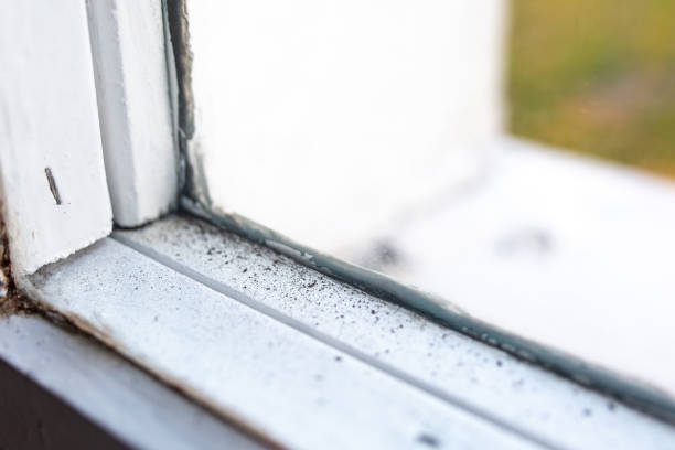 Best Indoor Air Quality Assessment  in Star Valley Ranch, WY